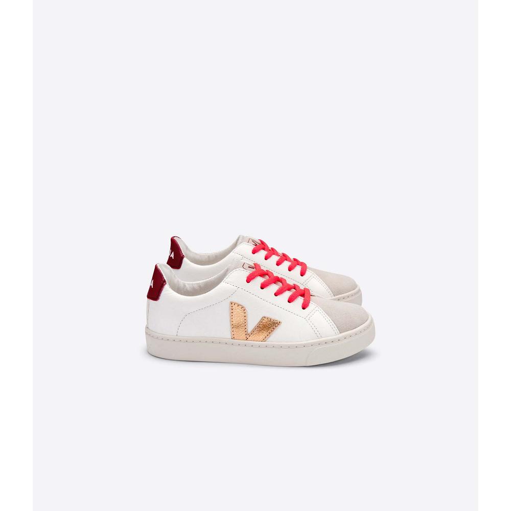 Kids\' Veja ESPLAR LEATHER Sneakers Gold/Red/White | SG 810OKI